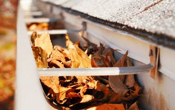 Carnhedryn gutter cleaning companies