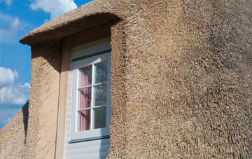 Carnhedryn thatch roof disadvantages
