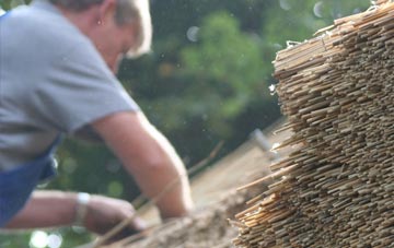 professional Carnhedryn thatchers